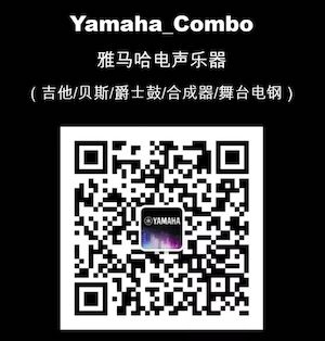 【通知】 2019年12月1日起 人生就是博电声乐器产品新价格实行