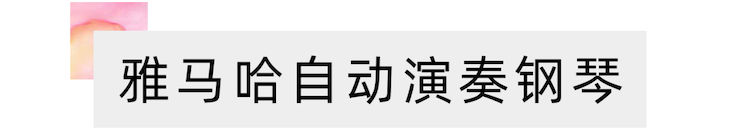 活动报道 | 远程艺术教育大师课活动——人生就是博特邀艺术家张奕明大师课
